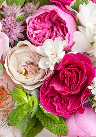 THE_REAL_FLOWER_COMPANYCLOSE_UP_OF_DEEP_AND_PALE_PINK_ROSES_WITH_ASTRANTIA_AND_MINT_IN_FLORAL_ARRANG