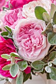 THE REAL FLOWER COMPANY:CLOSE UP OF BLUSH PINK ROSE AND SENECCIO IN FLORAL ARRANGEMENT. PRETTY, PLANT PORTRAIT