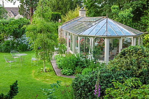 THE_LODGE_BURFORD_OXFORDSHIRE_THE_PELARGONIUM_FILLED_CONSERVATORY_WITH_BETULA_PENDULA_ON_LAWN_AND_EV