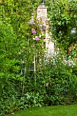 THE LODGE, BURFORD, OXFORDSHIRE: GARDEN BORDER WITH METAL OBELISK WITH CLEMATIS NELLY MOSER, YELLOW TREE PEONY AND WHITE-FLOWERED SWEET ROCKET