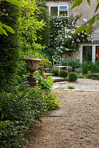 THE_LODGE_BURFORD_OXFORDSHIRE_VIEW_TO_HOUSE_FROM_GRAVEL_PATH_WITH_ROSA_PENELOPE_ON_WALL_SARCOCOCCA_C