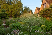 GREYHOUNDS, BURFORD, OXFORDSHIRE: CRAMBE DOMINATES THE HERBACEOUS BORDER BY THE HOUSE. INFORMAL, COTTAGE STYLE PLANTING. SUMMER, GARDEN.