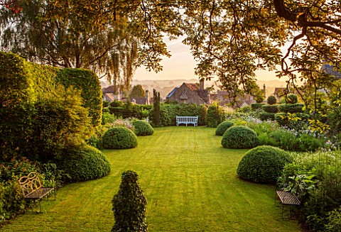 GREYHOUNDS_BURFORD_OXFORDSHIRETHE_MAIN_BORDERS_AND_LAWN_IN_DAWN_LIGHTFRAMED_BY_YEW_TOPIARY_HORNBEAM_