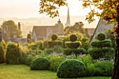 GREYHOUNDS, BURFORD, OXFORDSHIRE: DAWN LIGHT ON COTTAGE STYLE BORDER WITH YEW TOPIARY AND BOX DOMES. SUMMER GARDEN, INFORMAL PLANTING