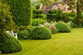 GREYHOUNDS, BURFORD, OXFORDSHIRE: LAWN IN CLASSIC COUNTRY GARDEN WITH BOX DOMES AND BORDERS FILLED WITH COTTAGE GARDEN PLANTS. WHITE WOODEN BENCH, SUMMER.