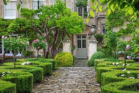THE_GREAT_HOUSE_BURFORD_OXFORDSHIRE_ORIGINAL_17TH_CENTURY_PATH_STANDARD_ROSES_IN_WAVE_BOX_PARTERRE_W