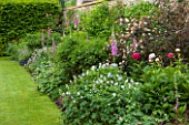 THE GREAT HOUSE, BURFORD, OXFORDSHIRE: HERBACEOUS BORDER/BED WITH PEONIES, FOXGLOVES AND GERANIUMS. SUMMER, PERENNIALS, GARDEN.