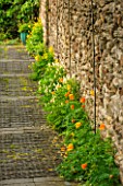 ELLIS REES, BURFORD, OXFORDSHIRE: ORANGE WELSH POPPIES UNDER VINE IN METAL TUNNEL WITH STABLE PAVERS. PATH, GARDEN
