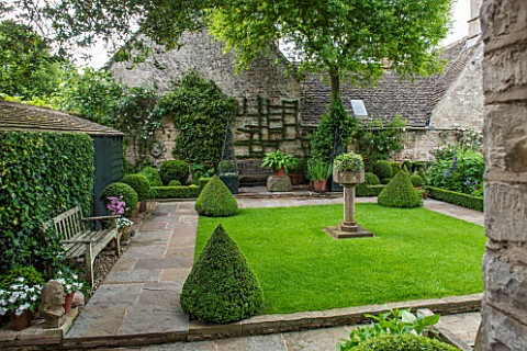 RADFORDSBURFORD_FORMAL_AREA_OF_GARDEN_WITH_LAWN_AND_BOX_PYRAMIDSSTONE_PATH_ROSA_MME_ALFRED_CARRIEREL
