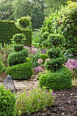 OXLEAZE FARM, OXFORDSHIRE: BOX TOPIARY SHAPES IN POTAGER WITH RAISED VEGETABLE BEDS,  ALLIUM CHRISTOPHII & PURPLE/LILAC VIOLA. SHRUB, EVERGREEN, SUMMER, KITCHEN GARDEN.