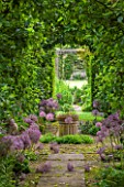 OXLEAZE FARM, OXFORDSHIRE: THE APPLE ARCH WITH TRAINED APPLE TREES & ALLIUM CHRISTOPHII. VIEW, VISTA, WINDOW, HEDGE, SUMMER, GARDEN. FOCAL POINT.
