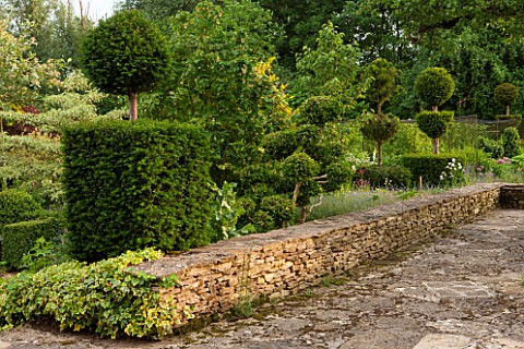 OXLEAZE_FARM_OXFORDSHIRE_EDGE_OF_TERRACE_AND_LOW_STONE_WALL_WITH_YEW_AND_BOX_TOPIARY_BUXUS_TAXUS_BAC