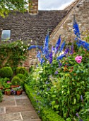 RADFORDS, BURFORD, OXFORDSHIRE:BORDER WITH ROSES AND DELPHINIUMS.BOX TOPIARY IN CONTAINERS AND STONE PATH. SUMMER, COTTAGE-STYLE GARDEN.PINK CLIMBING ROSE-ROSA MME ALFRED CARRIERE