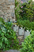 GREYHOUNDS, BURFORD, OXFORDSHIRE: OLD METAL WATERING CANS ON THE READING ROOM STEPS. PINK CLIMBING ROSE ON HOUSE WALL. COTTAGE STYLE, INFORMAL.