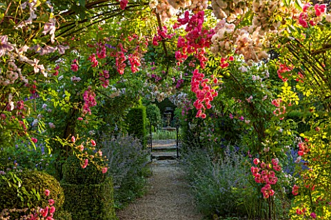 EASTLEACH_HOUSE_GLOUCESTERSHIRE_WALLED_GARDEN_GRAVEL_PATH_WITH_ARCH_NEPETA_SIX_HILLS_GIANT_ROSA_PRIN