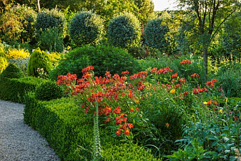 EASTLEACH_HOUSE_GLOUCESTERSHIRE_RED_BORDER__BOX_EDGED_BED_WITH_ALSTROEMERIA_VERBASCUM_AND_SORBUS_ARI