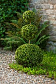 EASTLEACH HOUSE, GLOUCESTERSHIRE: CLIPPED BOX TRIPLE BOX BALL TOPIARY BESIDE FRONT DOOR OF EASTLEACH HOUSE. GREEN, COUNTRY, GARDEN