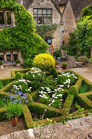 CALENDARS_BURFORDOXFORDSHIREFORMAL_BOX_PARTERRE_TO_LOWER_TERRACE_WITH_WHITE_COSMOS_BLUE_AGAPANTHUS_I