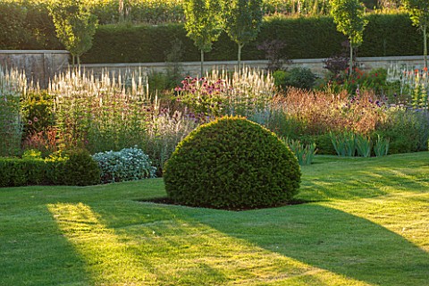 PRIVATE_GARDEN_GLOUCESTERSHIRE__DESIGNER_ANGEL_COLLINS__EVENING_SUNLIGHT_ON_LAWN_AND_CLIPPED_TOPIARY
