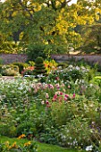 KELMARSH HALL, NORTHAMPTONSHIRE: LATE SUMMER MEADOW WITH DAHLIAS, WHITE COSMOS, AMMI VISNAGA (UMBELLIFERS IN F/G) AND YEW TOPIARY SPIRAL. EVENING LIGHT, DUSK, GARDEN, PERENNIAL.