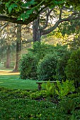 MORTON HALL GARDENS, WORCESTERSHIRE: VIEW OUT TO PARKLAND AT SUNRISE - TREES, LAWN, SUNLIGHT, CLASSIC, GARDEN, COUNTRY, ENGLISH, CHESTNUT TREE, FERNS, STONE, BENCH