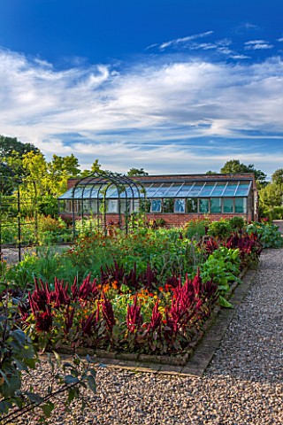 MORTON_HALL_GARDENS_WORCESTERSHIRE_KITCHEN_GARDEN_IN_LATE_SUMMER_GREENHOUSE_THE_HALL_BEDS_WALL_WALLE