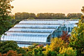 RHS GARDEN, WISLEY, SURREY: THE GLASSHOUSE AT SUNSET. GLASS HOUSE, BUILDING, SUMMER, LATE SUMMER