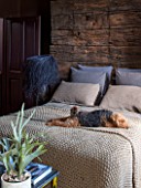 ABIGAIL AHERN HOUSE, LONDON: BEDROOM PAINTED IN CROSBY - MAUD THE DOG ON BED, PILLOWS, DARK, ROOM, INTERIOR, THROW, FAUX STAGHORN PLANT, SHAGGY PALM LAMP DARK