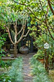ABIGAIL AHERN HOUSE, LONDON: TOWN GARDEN WITH FAUX WOODEN PATH TO CABIN TYPE SHED, FAUX CACTUS, LATE SUMMER, WOODLAND