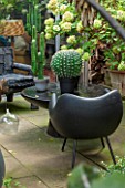 ABIGAIL AHERN HOUSE, LONDON: TOWN GARDEN - OUTDOOR PATIO AREA - BLACK BENCH, BLACK CHAIR, FAUX CACTUS IN BLACK CONTAINER, HYDRANGEA, PATIO, PATH, PAVING