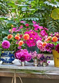 HENRIETTA COURTAULDS HOUSE, NOTTING HILL, LONDON: THE LAND GARDENERS - SMALL TOWN GARDEN. PATIO, TERRACE, STEPS, TABLE WITH CUT DAHLIA FLOWERS, COSMOS DAZZLER