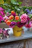 HENRIETTA COURTAULDS HOUSE, NOTTING HILL, LONDON: THE LAND GARDENERS - SMALL TOWN GARDEN. PATIO, TERRACE, STEPS, TABLE WITH CUT DAHLIA FLOWERS, COSMOS DAZZLER, YELLOW, BUCKET