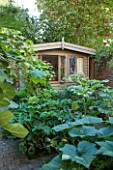 HENRIETTA COURTAULDS HOUSE, NOTTING HILL, LONDON: THE LAND GARDENERS - WOODEN GARDEN STUDIO, OFFICE, SHED, GREEN, FOLIAGE, SMALL, TOWN