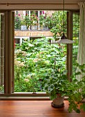 HENRIETTA COURTAULDS HOUSE, NOTTING HILL, LONDON: THE LAND GARDENERS - PELARGONIUMS IN TERRACOTTA CONTAINER, WOODEN TABLE INSIDE SHED, OFFICE, STUDIO, GARDEN, VIEW, OUT, WINDOW