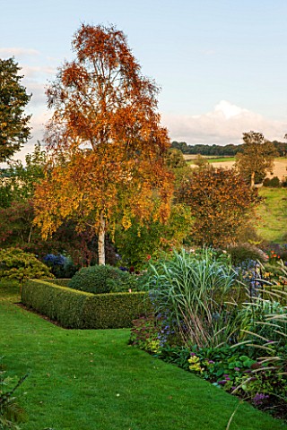 PETTIFERS_OXFORDSHIRE_LOWER_PARTERRE__THE_LOWER_PARTERRE_IN_AUTUMN__CLIPPED_TOPIARY_HEDGING_BETULA_E