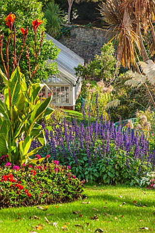 GUERNSEY_NERINE_FESTIVAL__LAWN_AND_CANNAS_WITH_THE_RESTORED_VICTORIAN_GLASSHOUSE_CANDIE_GARDENS_GLAS