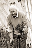 GUERNSEY NERINE FESTIVAL: COMMERCIAL NERINE GROWER ROGER BEAUSIRE HOLDING FLOWERS OF NERINE SARNIENSIS - GUERNSEY LILY - IN HIS GREENHOUSE. FLOWERS, CUT. BLACK AND WHITE