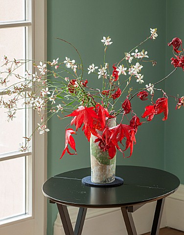 MORTON_HALL_WORCESTERSHIRE_AUTUMNAL_FLORAL_ARRANGEMENT_IN_PRETTY_VASE_WITH_GAURA_AND_MAPLE_LEAVES_ON