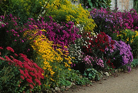 PURPLE__DEEP_RED__WHITE_AND_MAUVE_ASTERS__RUDBECKIA__SEDUM_AUTUMN_JOY_AND_SOLIDAGO_WATERPERRY_GARDEN