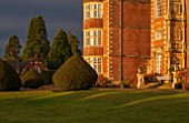 BURTON AGNES HALL, EAST YORKSHIRE: CHRISTMAS - THE HALL AT SUNRISE - MORNING LIGHT, YEW, TAXUS BACCATA, CLIPPED, TOPIARY