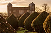 BURTON AGNES HALL, EAST YORKSHIRE: CHRISTMAS - THE GATEHOUSE AT SUNRISE - MORNING LIGHT, YEW, TAXUS BACCATA, CLIPPED, TOPIARY, LIGHTS, LIGHTING, FAIRY LIGHTS