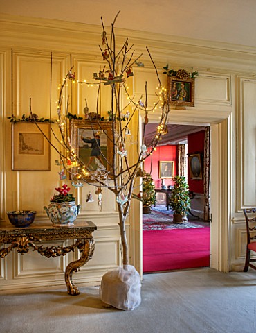 BURTON_AGNES_HALL_EAST_YORKSHIRE_CHRISTMAS__THE_GARDEN_GALLERY__AN_OAK_TREE_FROM_THE_ESTATE_IN_CONTA