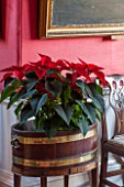 BURTON AGNES HALL, EAST YORKSHIRE: CHRISTMAS - THE DINING ROOM WITH LARGE RED POINSETTIA IN WOOD AND BRASS CONTAINER.