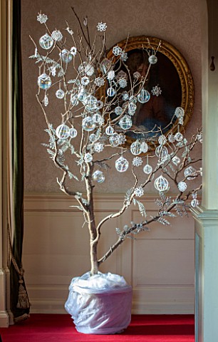 BURTON_AGNES_HALL_EAST_YORKSHIRE_CHRISTMAS__THE_MUSIC_GALLERY__A_SYCAMORE_BRANCH_DECORATED_WITH_FROS