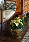 BURTON AGNES HALL, EAST YORKSHIRE: CHRISTMAS - THE WHITE DRAWING ROOM - GREEN POINSETTIA IN METAL CONTAINER. HOUSEPLANT, HOUSE PLANT