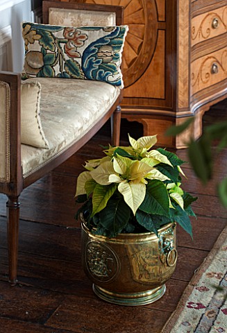 BURTON_AGNES_HALL_EAST_YORKSHIRE_CHRISTMAS__THE_WHITE_DRAWING_ROOM__GREEN_POINSETTIA_IN_METAL_CONTAI