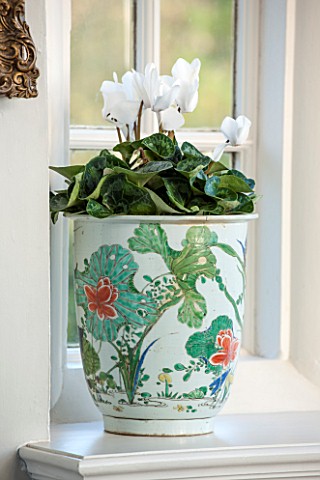 BURTON_AGNES_HALL_EAST_YORKSHIRE_CHRISTMAS__WHITE_CYCLAMEN_IN_DECORATIVE_CONTAINER_HOUSEPLANT_HOUSE_