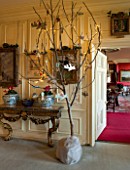 BURTON AGNES HALL, EAST YORKSHIRE: CHRISTMAS - THE GARDEN GALLERY - AN OAK TREE FROM THE ESTATE IN CONTAINER - VIEW THROUGH TO DINING ROOM. FARIRY LIGHTS, LIGHTING