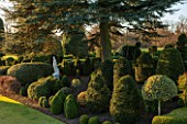BRODSWORTH HALL, YORKSHIRE: STATUE, DAWN. WINTER, JANUARY, TOPIARY EVERGREEN, BORDER, FORMAL, GARDEN, COUNTRY, CLIPPED, HOLLY, CEDAR OF LEBANON