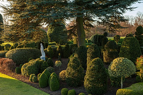 BRODSWORTH_HALL_YORKSHIRE_STATUE_DAWN_WINTER_JANUARY_TOPIARY_EVERGREEN_BORDER_FORMAL_GARDEN_COUNTRY_